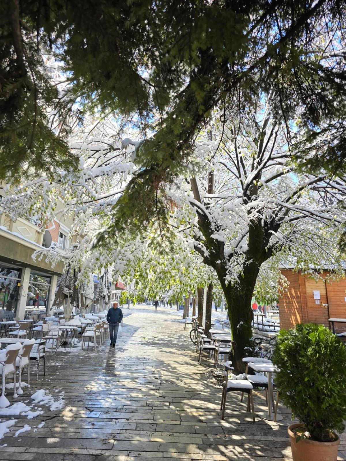 Vila Sonnet Korce Exteriér fotografie